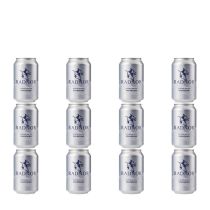 Radnor Sparkling Spring Water Can 330ml - Pack of 12