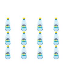Radnor Splash Lemon & Lime Sparkling Flavoured Spring Water 330ml - Pack of 12