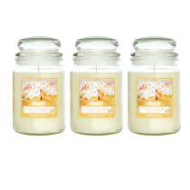 Airpure Vanilla Cupcake Scented Candle Upto 120 Hours Time 510g - Pack of 3