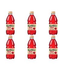 Radnor Fizz Sour Cherry Sparkling Drink 330ml - Pack of 6