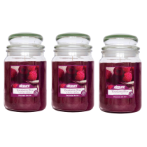 AIRPURE Raspberry Bliss Scented Candle Large Jar 18 oz - Pack of 3