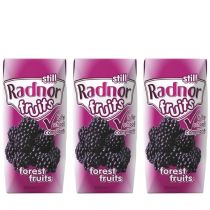 Radnor Fruits Still Forest Fruits Juice Drink 200ml - Pack of 3