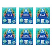Astonish Fizz & Fresh Toilet Bowl Tablets Eucalyptus Fresh 8 Tablets - Pack of 6