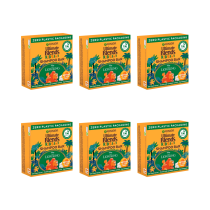 Garnier Ultimate Blends Kids Apricot Shampoo Bar 60g - Pack of 6