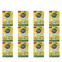 Perfect Scents Lemon Hanging Dehumidifier 180g - Pack of 12