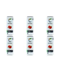 Celsius Sparkling Strawberry Watermelon Energy Drink 355ml - Pack of 6