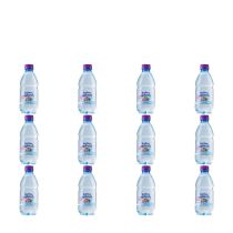 Radnor Splash Forest Fruits Sparkling Flavoured Spring Water 330ml - Pack of 12
