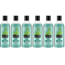 Alberto Balsam Tea Tree Tingle Hair Shampoo 300ML - Pack of 6