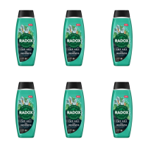 Radox Feel Invigorated Men’s Shower Gel 450ml - Pack of 6