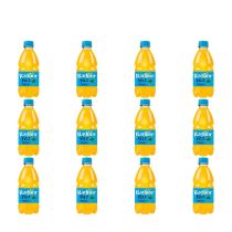 Radnor Fizz Tropical Sparkling Drink 330ml - Pack of 12