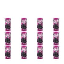 Radnor Fruits Still Forest Fruits Juice Drink 200ml - Pack of 12
