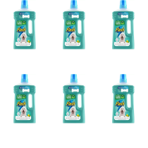 Flash Liquid Cleaner For Pet Lovers Citrus 1L - Pack of 6
