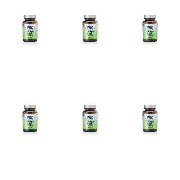 FSC 500mg Ginkgo Biloba Tablets 60 Tablet - Pack of 6