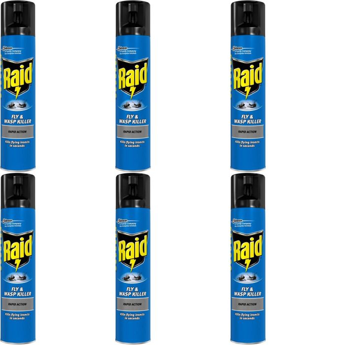 Raid Fly and Wasp Killer 300ml - Pack of 6