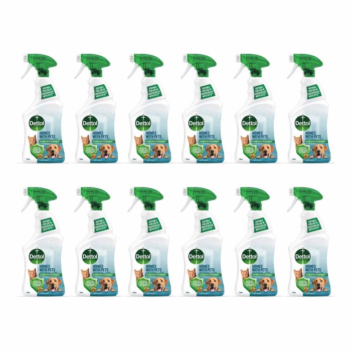 Dettol Multipurpose Cleaner Homes With Pets Fresh Breeze 750ml - Pack of 12