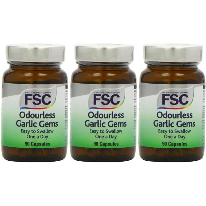 FSC One A Day Garlic Gems - Pack of 90 Capsules - Pack of 3
