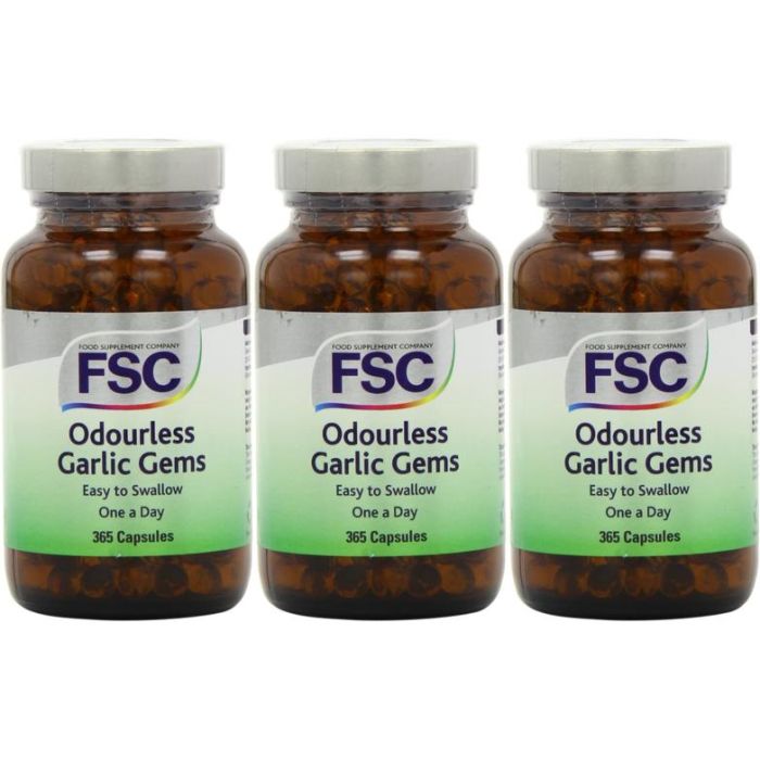 FSC One A Day Garlic Gems 365 Capsules - Pack of 3