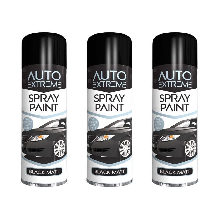 Rapide Auto Extreme All Purpose Spray Paint Black 250ML