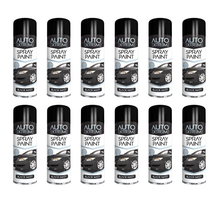Rapide Auto Extreme All Purpose Spray Paint Black 250ML