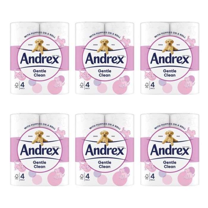 Andrex Gentle Clean Toilet Tissue Roll - 4 Rolls Pack

