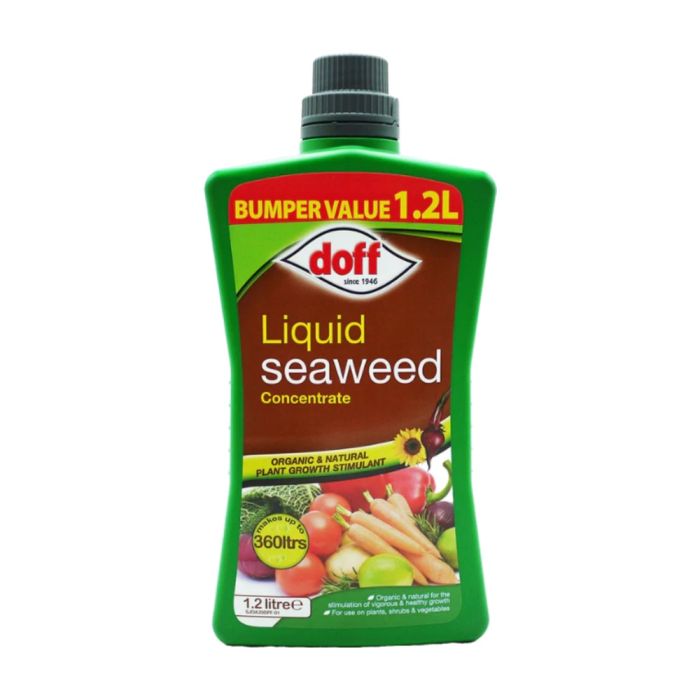Doff Liquid Seaweed Concentrated All Purpose Plant Food Fertiliser 1.2 Litres