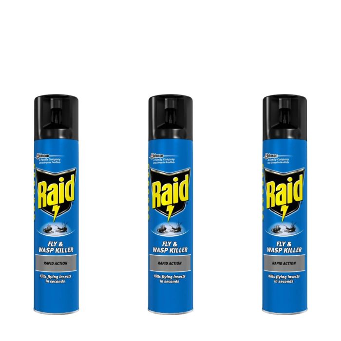 Raid Fly and Wasp Killer 300ml - Pack of 3