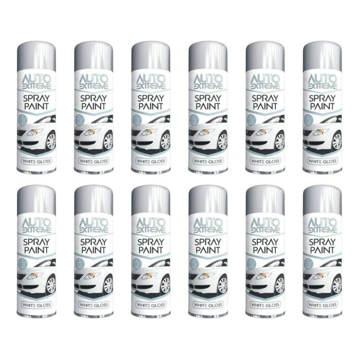 Rapide Auto Extreme All Purpose Spray Paint Can White 250ml - Pack of 12