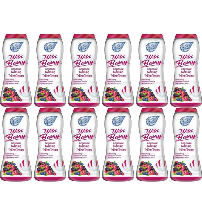 Foam Fresh With Wild Berry 370g - Pack of 12