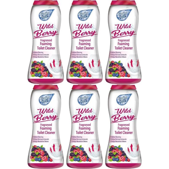 Foam Fresh With Wild Berry 370g - Pack of 6