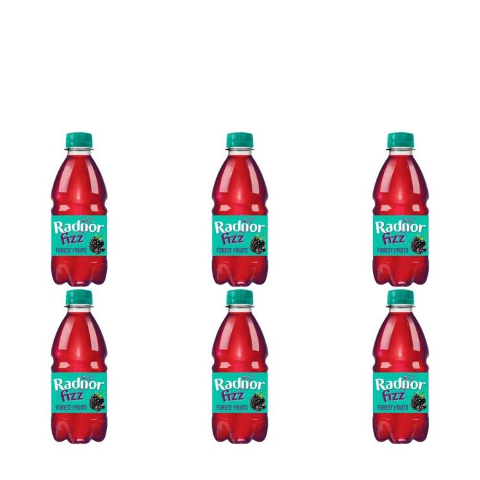 Radnor Fizz Forest Fruits Drink 300ml - Pack of 6