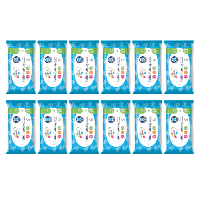 Little Heroes Toilet Training Flushable Baby Wipes 40 Wipes - Pack of 12