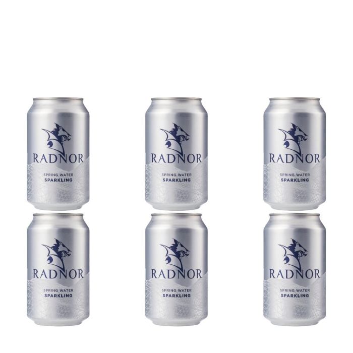 Radnor Sparkling Spring Water Can 330ml - Pack of 6
