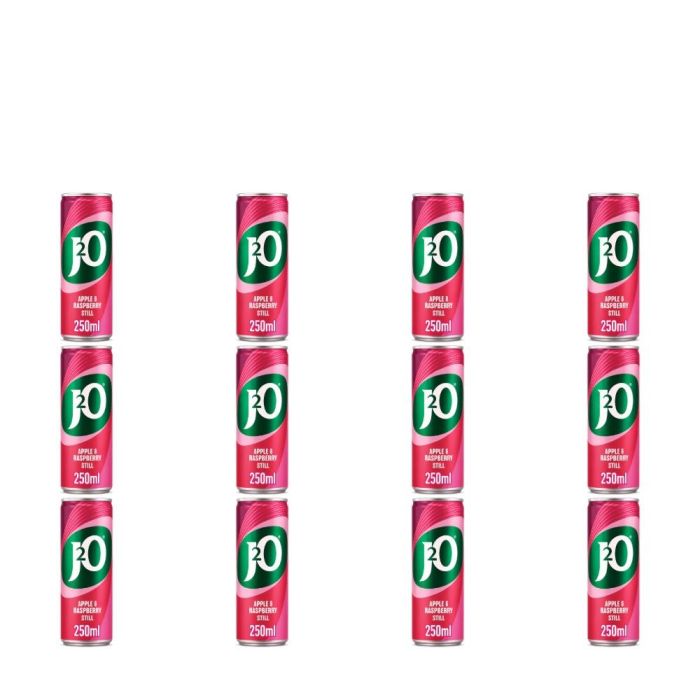 J2O Apple & Raspberry Fruit Juice Drink 250ml - Pack of 12