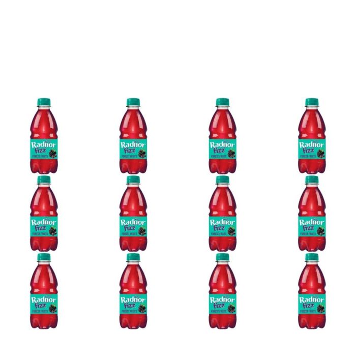 Radnor Fizz Forest Fruits Drink 300ml - Pack of 12