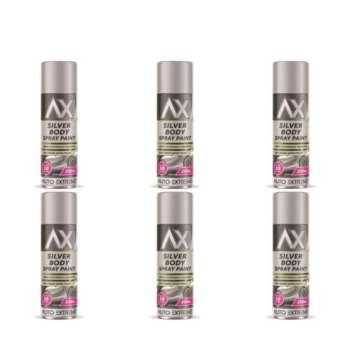 Auto Extreme Silver Body Spray Paint 250ml - Pack of 6