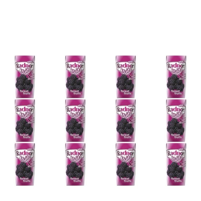 Radnor Fruits Still Forest Fruits Juice Drink 200ml - Pack of 12