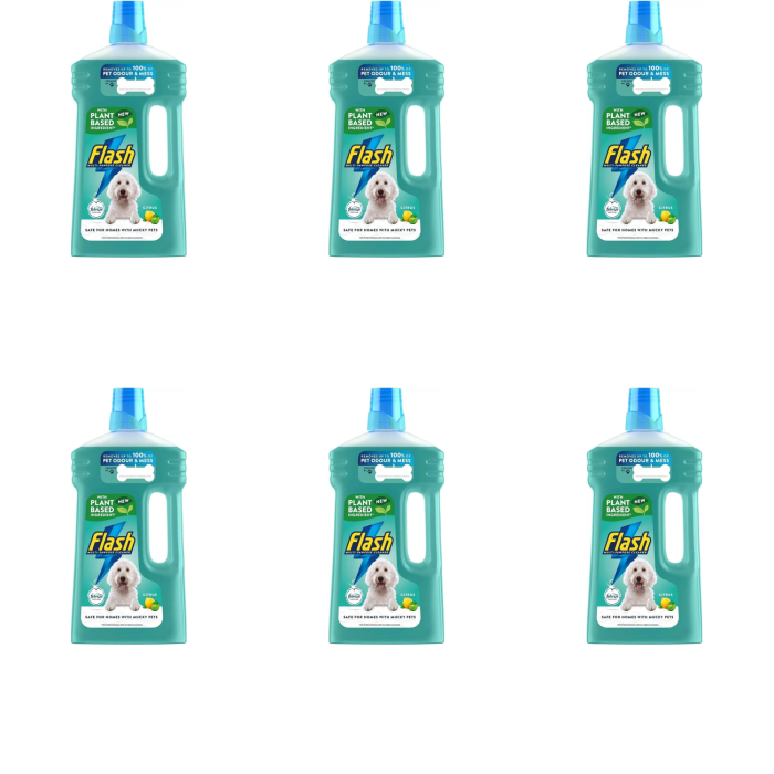 Flash Liquid Cleaner For Pet Lovers Citrus 1L - Pack of 6