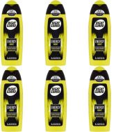 Right Guard 3-in-1 Shower Gel Energy Burst 250ml - Pack of 6