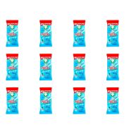Greenshield Glass & Window Surface Wipes 70 Wipes - Pack of 12