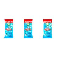 Greenshield Glass & Window Surface Wipes 70 Wipes - Pack of 3