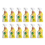 Dettol Floor & Multipurpose Cleaner Disinfectant 4in1 Citrus 750ml  - Pack of 12