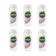 Radox Moisturising Shower Gel Chamomile & Oat 225ML - Pack of 6