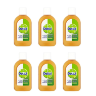 Dettol Original Antiseptic Disinfectant Liquid 250ml - Pack of 6