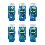 Radox Feel Awake for Men 2in1 Shower Gel 250ml - Pack of 6