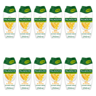 Palmolive Naturals Milk & Honey Shower Gel Cream 250ml - Pack of 12