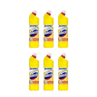 Domestos Citrus Bleach 750ml - Pack of 6