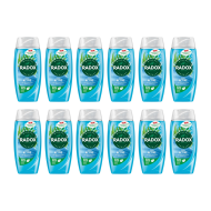 Radox Feel Active Shower Gel 250ml - Pack of 12