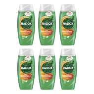 Radox Feel Refreshed 2in1 Shower Gel 250ml - Pack of 6