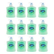 Cussons Carex Aloe Vera Antibacterial Hand Wash 250ml - Pack of 12